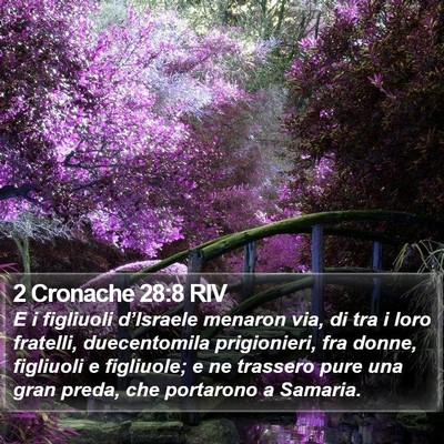 2 Cronache 28:8 RIV Bible Verse Image