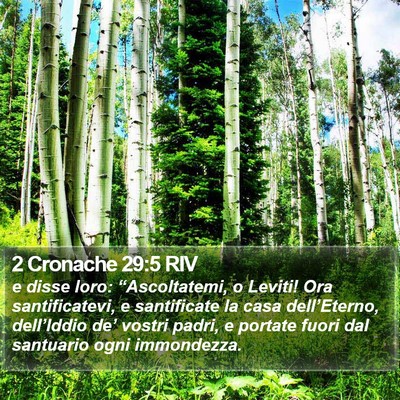 2 Cronache 29:5 RIV Bible Verse Image