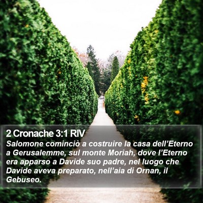 2 Cronache 3:1 RIV Bible Verse Image