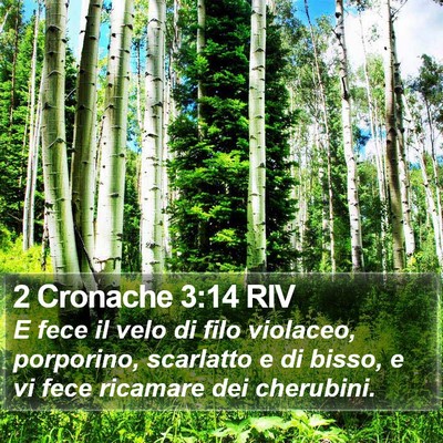 2 Cronache 3:14 RIV Bible Verse Image