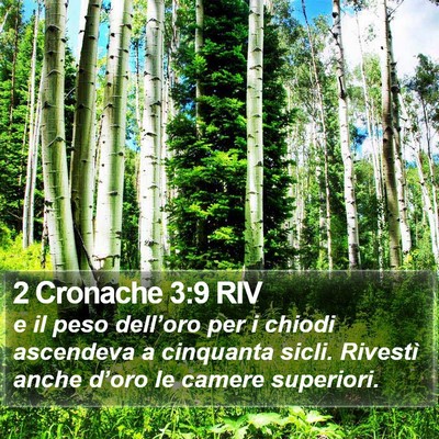 2 Cronache 3:9 RIV Bible Verse Image
