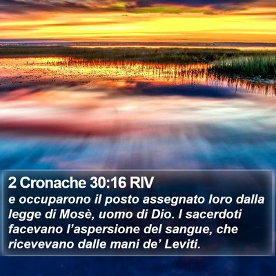 2 Cronache 30:16 RIV Bible Verse Image