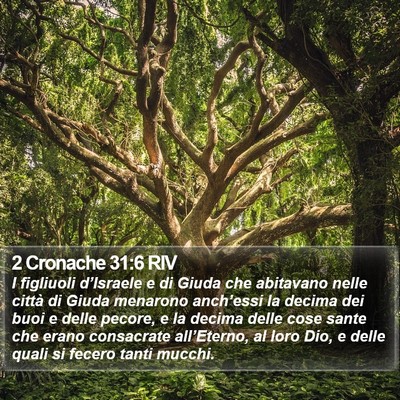 2 Cronache 31:6 RIV Bible Verse Image