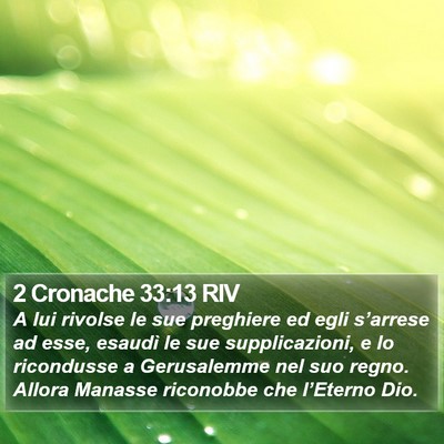 2 Cronache 33:13 RIV Bible Verse Image