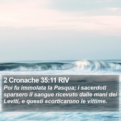 2 Cronache 35:11 RIV Bible Verse Image