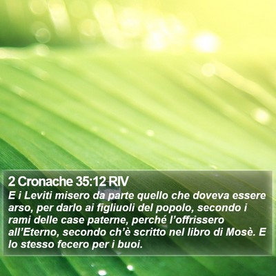 2 Cronache 35:12 RIV Bible Verse Image