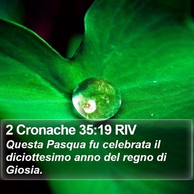 2 Cronache 35:19 RIV Bible Verse Image