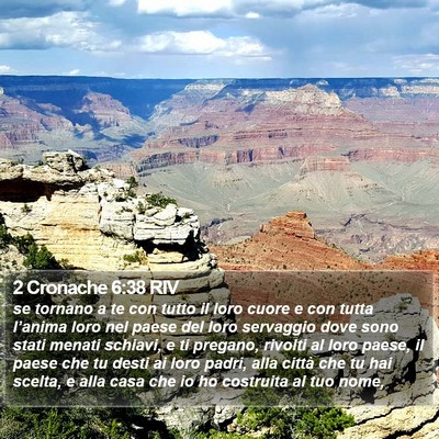 2 Cronache 6:38 RIV Bible Verse Image