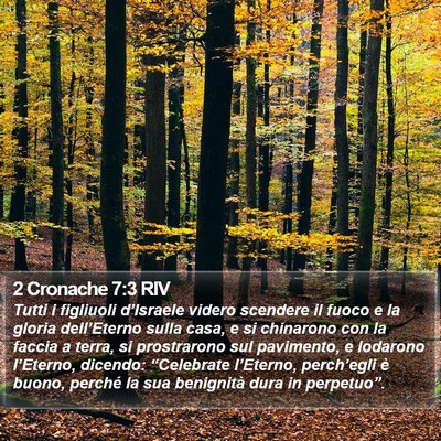 2 Cronache 7:3 RIV Bible Verse Image