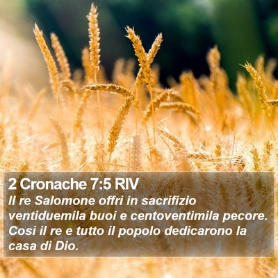 2 Cronache 7:5 RIV Bible Verse Image