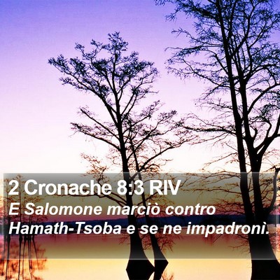 2 Cronache 8:3 RIV Bible Verse Image
