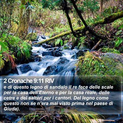 2 Cronache 9:11 RIV Bible Verse Image