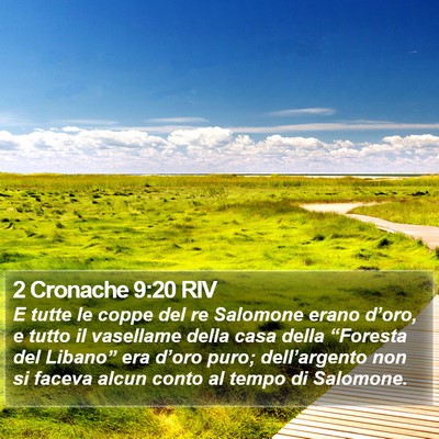 2 Cronache 9:20 RIV Bible Verse Image