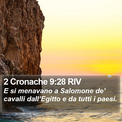2 Cronache 9:28 RIV Bible Verse Image