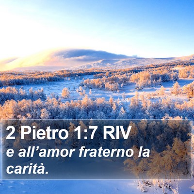 2 Pietro 1:7 RIV Bible Verse Image