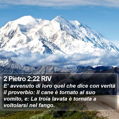 2 Pietro 2:22 RIV Bible Verse Image
