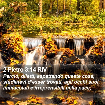 2 Pietro 3:14 RIV Bible Verse Image