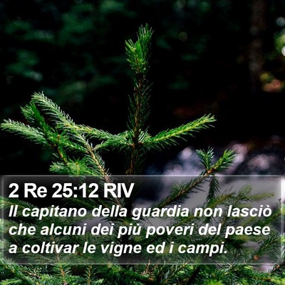 2 Re 25:12 RIV Bible Verse Image