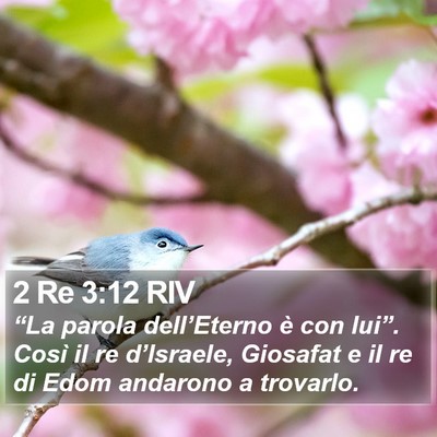 2 Re 3:12 RIV Bible Verse Image