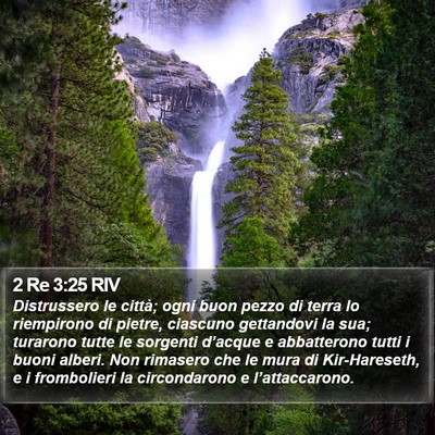 2 Re 3:25 RIV Bible Verse Image