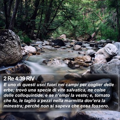 2 Re 4:39 RIV Bible Verse Image