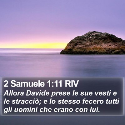 2 Samuele 1:11 RIV Bible Verse Image