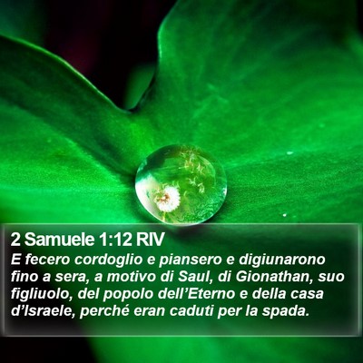 2 Samuele 1:12 RIV Bible Verse Image