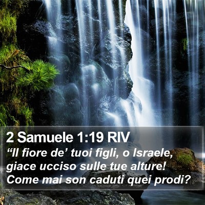 2 Samuele 1:19 RIV Bible Verse Image