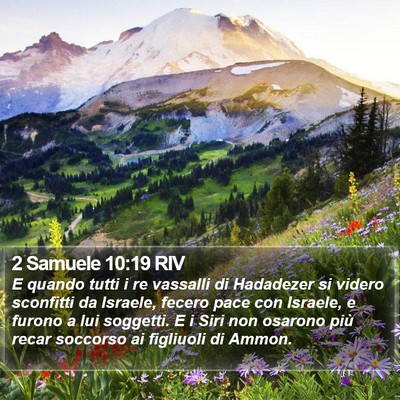 2 Samuele 10:19 RIV Bible Verse Image