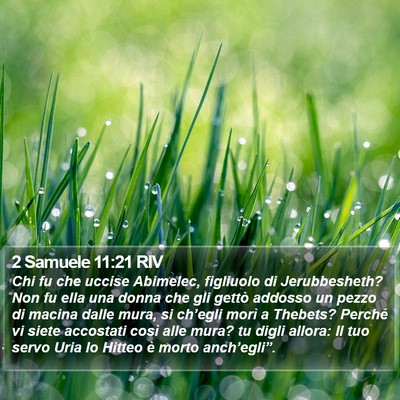 2 Samuele 11:21 RIV Bible Verse Image