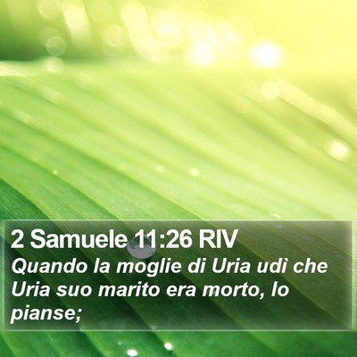 2 Samuele 11:26 RIV Bible Verse Image