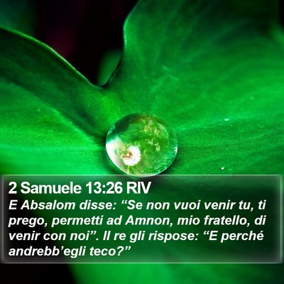 2 Samuele 13:26 RIV Bible Verse Image