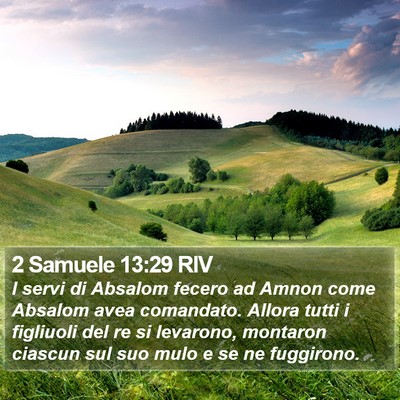 2 Samuele 13:29 RIV Bible Verse Image