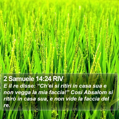 2 Samuele 14:24 RIV Bible Verse Image