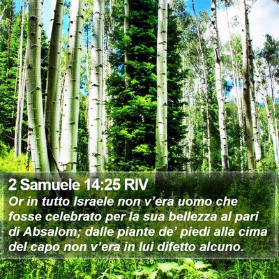 2 Samuele 14:25 RIV Bible Verse Image
