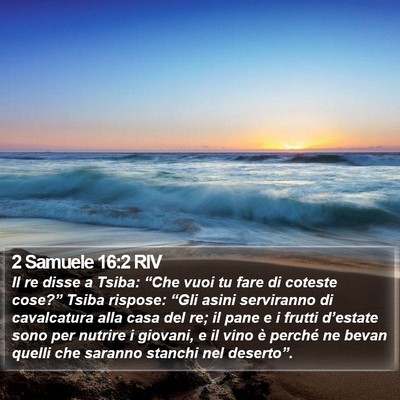 2 Samuele 16:2 RIV Bible Verse Image