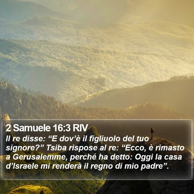 2 Samuele 16:3 RIV Bible Verse Image