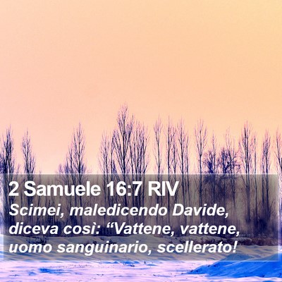2 Samuele 16:7 RIV Bible Verse Image