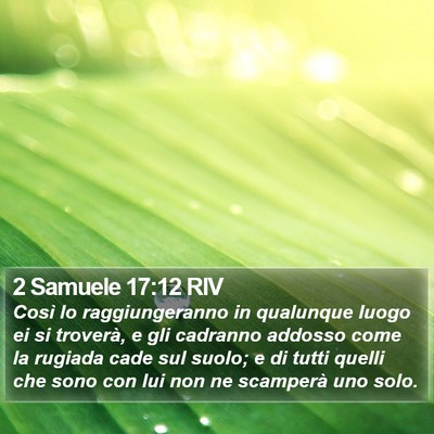 2 Samuele 17:12 RIV Bible Verse Image