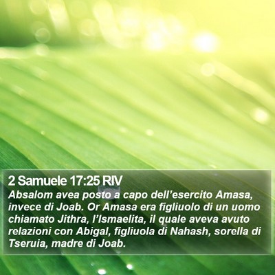2 Samuele 17:25 RIV Bible Verse Image