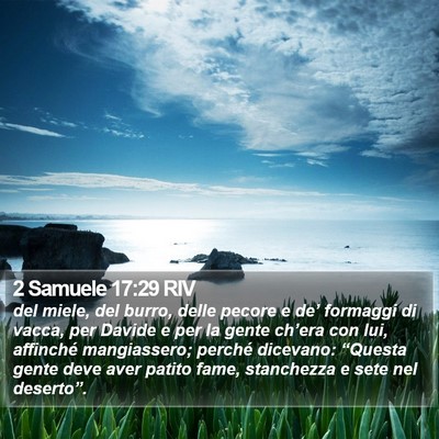 2 Samuele 17:29 RIV Bible Verse Image