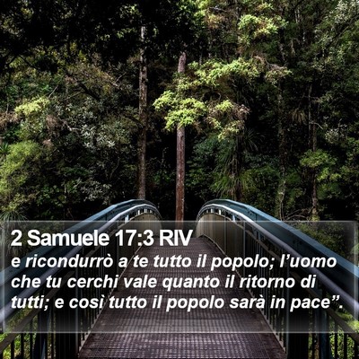 2 Samuele 17:3 RIV Bible Verse Image