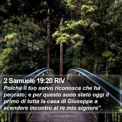 2 Samuele 19:20 RIV Bible Verse Image