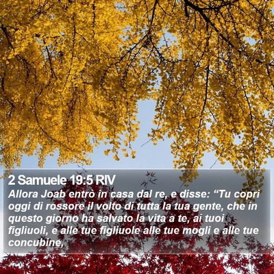 2 Samuele 19:5 RIV Bible Verse Image