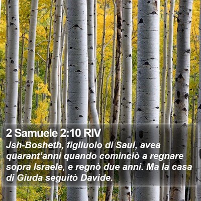 2 Samuele 2:10 RIV Bible Verse Image
