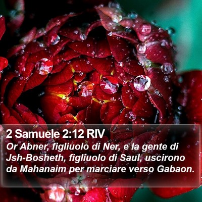 2 Samuele 2:12 RIV Bible Verse Image