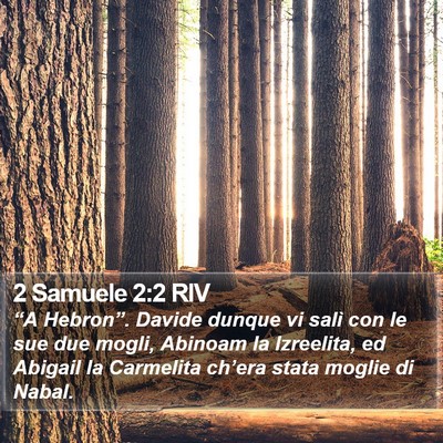 2 Samuele 2:2 RIV Bible Verse Image