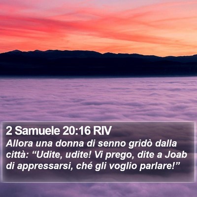 2 Samuele 20:16 RIV Bible Verse Image