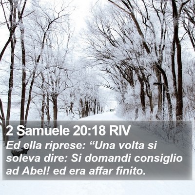 2 Samuele 20:18 RIV Bible Verse Image
