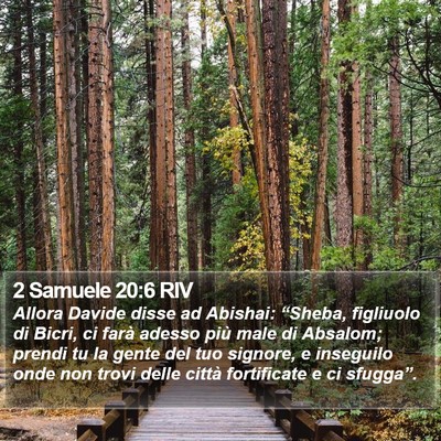 2 Samuele 20:6 RIV Bible Verse Image